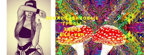 MESCALINE Новозыбков