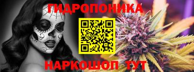 PSILOCYBIN Балахна
