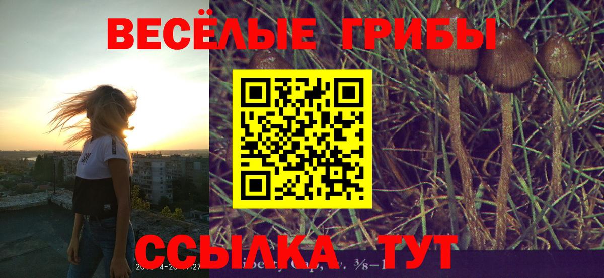 Саров  купить закладку  Вход с VPN  Псилоцибиновые грибы мухоморы 